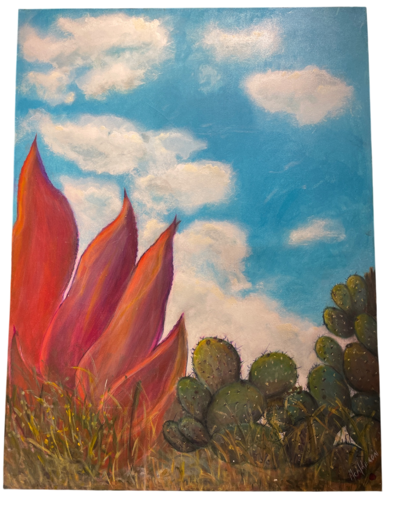California Landscape