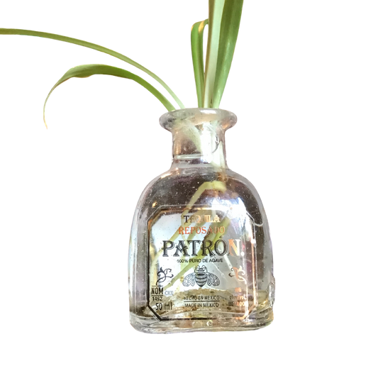 Patron Plant